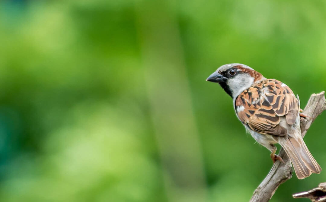 Mid-July Newsletter: Executive Director Welcome Message