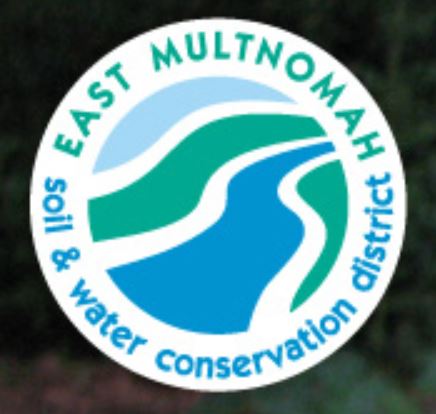 Free Rain Gardens 101 Workshop