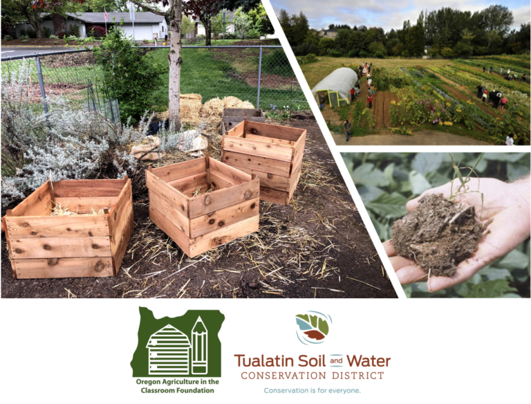Soil Health Workshop for School Gardens