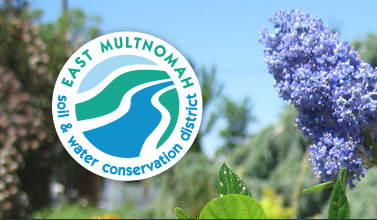 FREE Urban Weeds Workshop