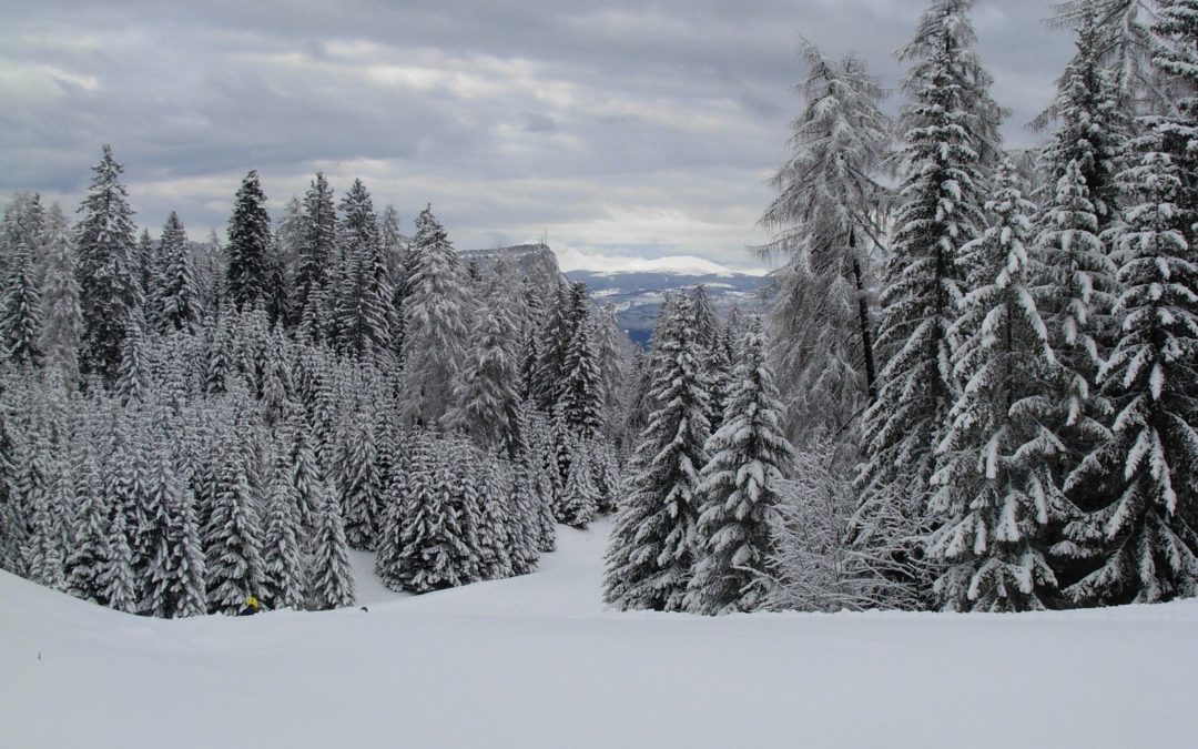 Mid-December Newsletter: Call for Proposals Extended + GPSEN Receives Awards