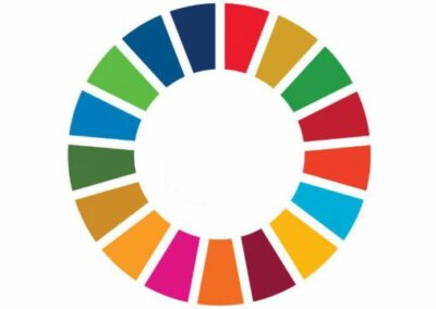The Human Rights Guide to the Sustainable Development Goals