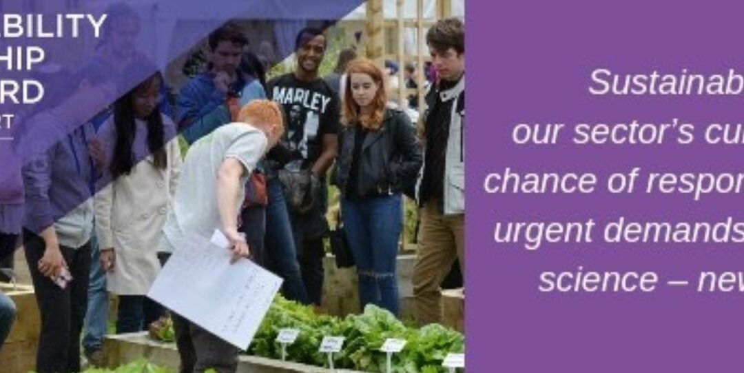 Sustainability Leadership Scorecard Report