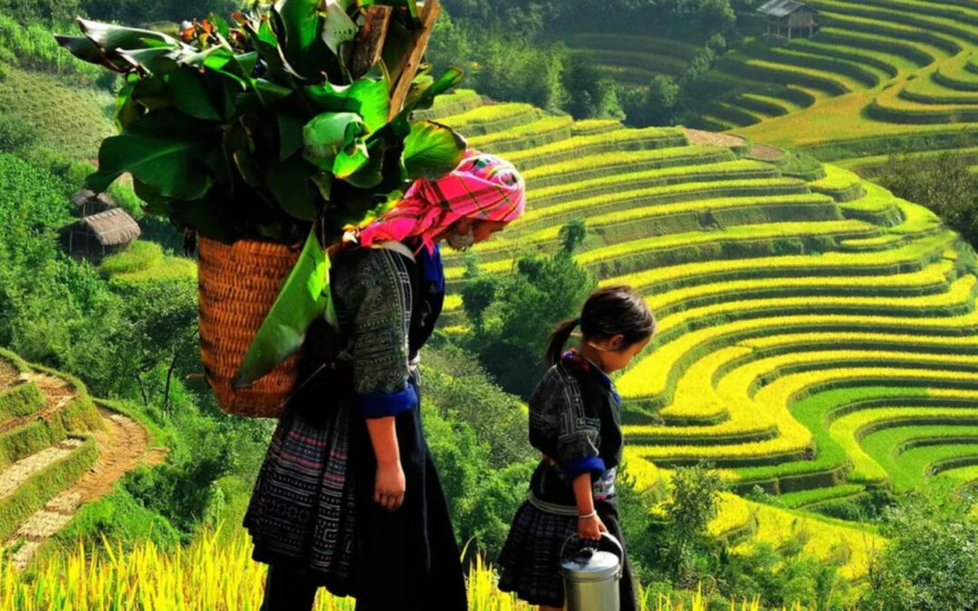 UN Report Highlights the Peoples Who Are Crucial to “Survival of Humanity”