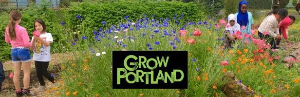 Job – School Garden Educators