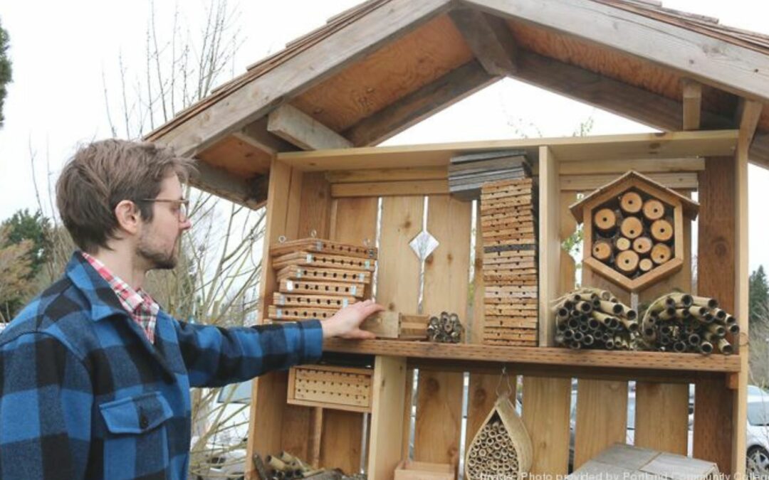 Higher education’s role in the race to a climate change solution