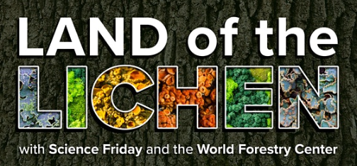Land of the Lichen with Science Fridays and the World Forestry Center – Cancelled