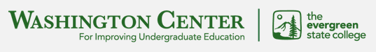 Washington Center Summer Institute for  Improving Undergraduate Education