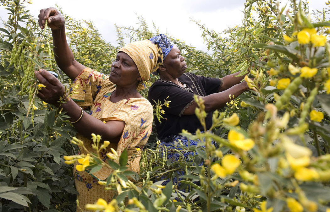 Why Investing in Women Helps Save the Planet