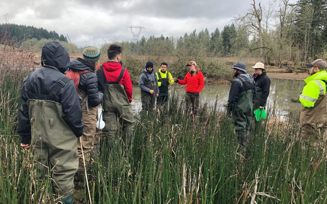 Metro awards $700k for Nature in Neighborhood grants