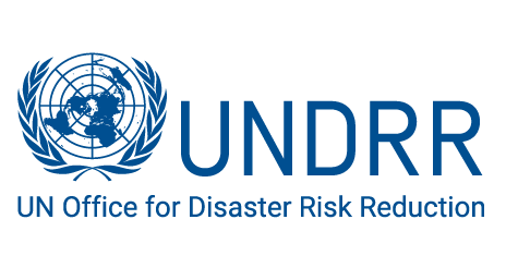 Making Cities Resilient: Developing Local DRR and Resilience Strategies