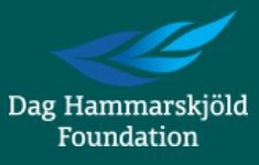 Staying the Course: Funding Effective UN Responses to COVID-19 While Protecting the 2030 Agenda