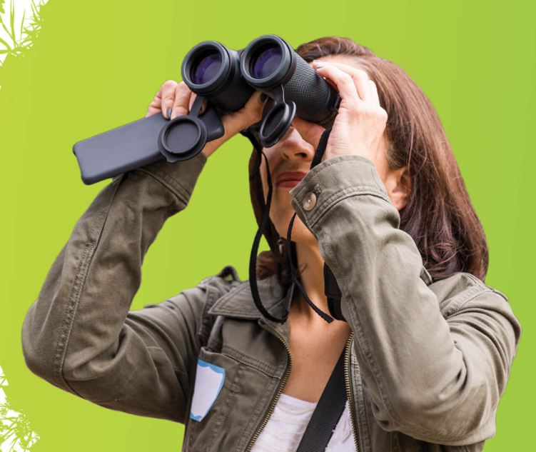 City Nature Challenge