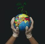 Leading the Way: Global Universities as Living Labs and Agents of Change for Climate Action & Sustainability