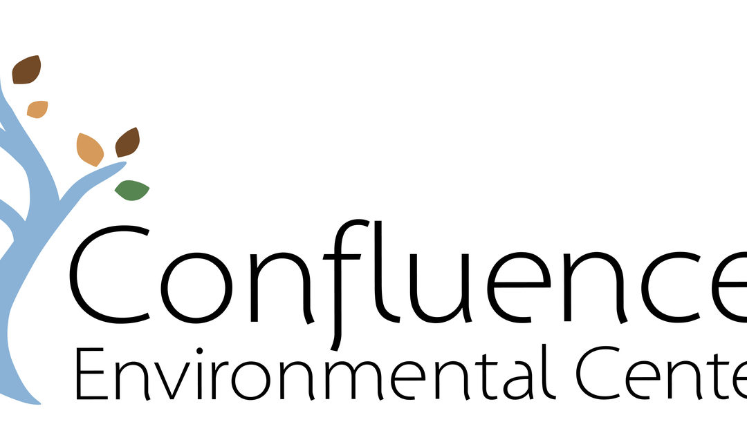 6 Month AmeriCorps Position Openings